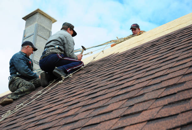 Best Residential Roofing Contractor  in Lebanon Junction, KY